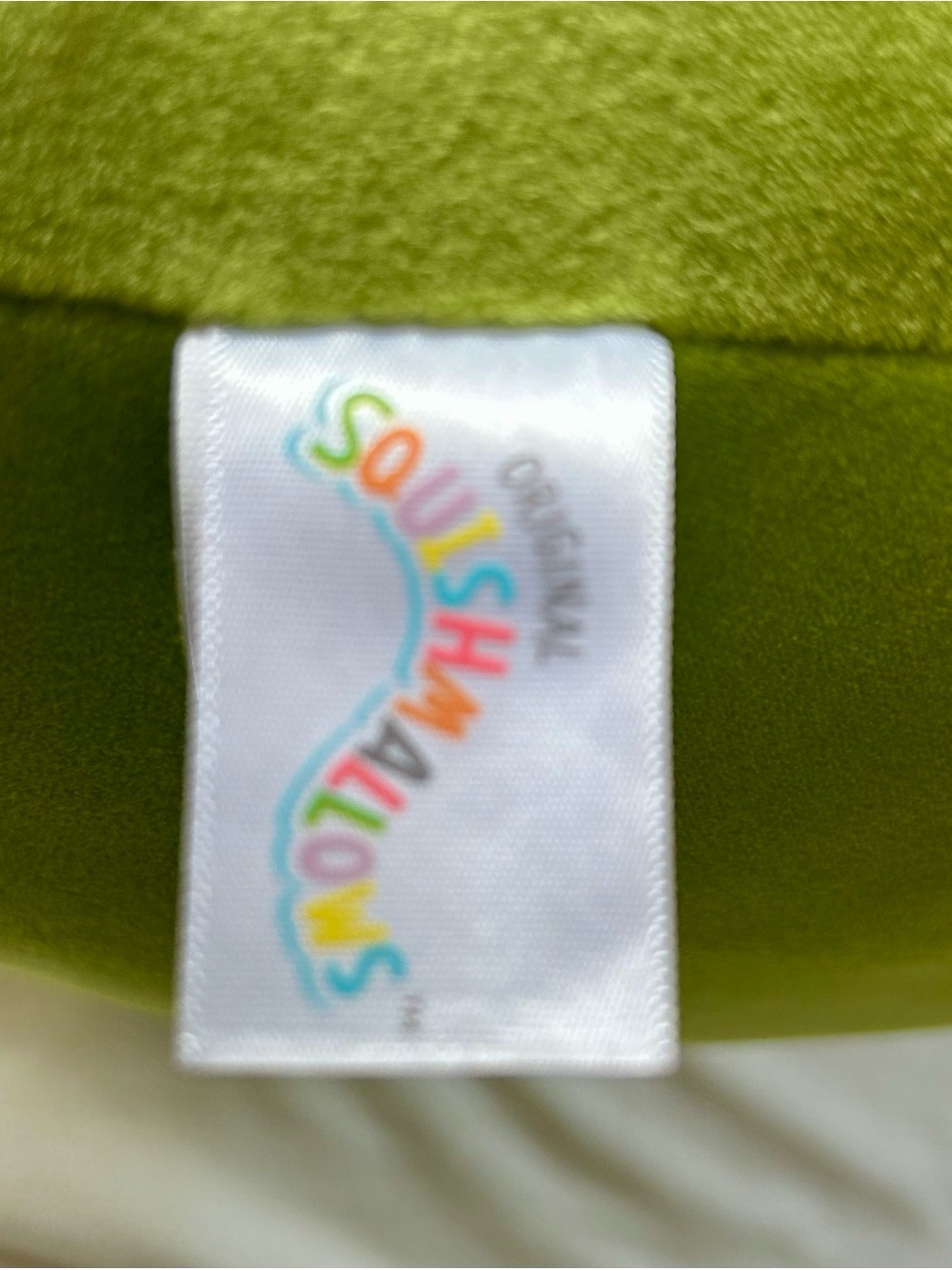 Squishmallows Ms Miss Cactus Cat 20 inch - Picture 3 of 6